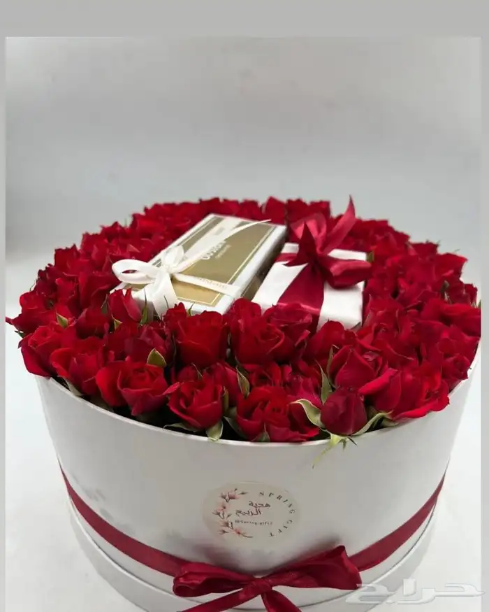 مندوب منسق هداياء 4