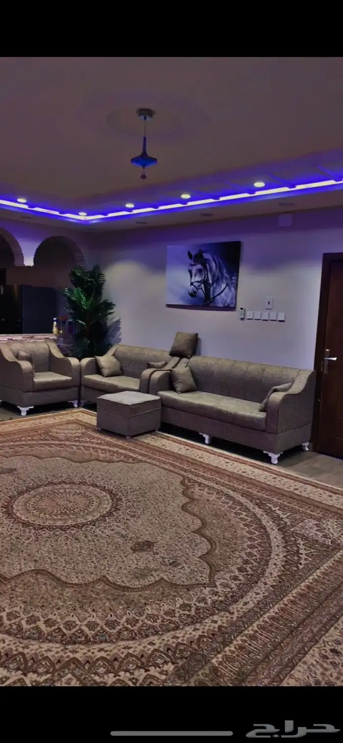 ثاني اكبر الشاليهات بالطايف 13