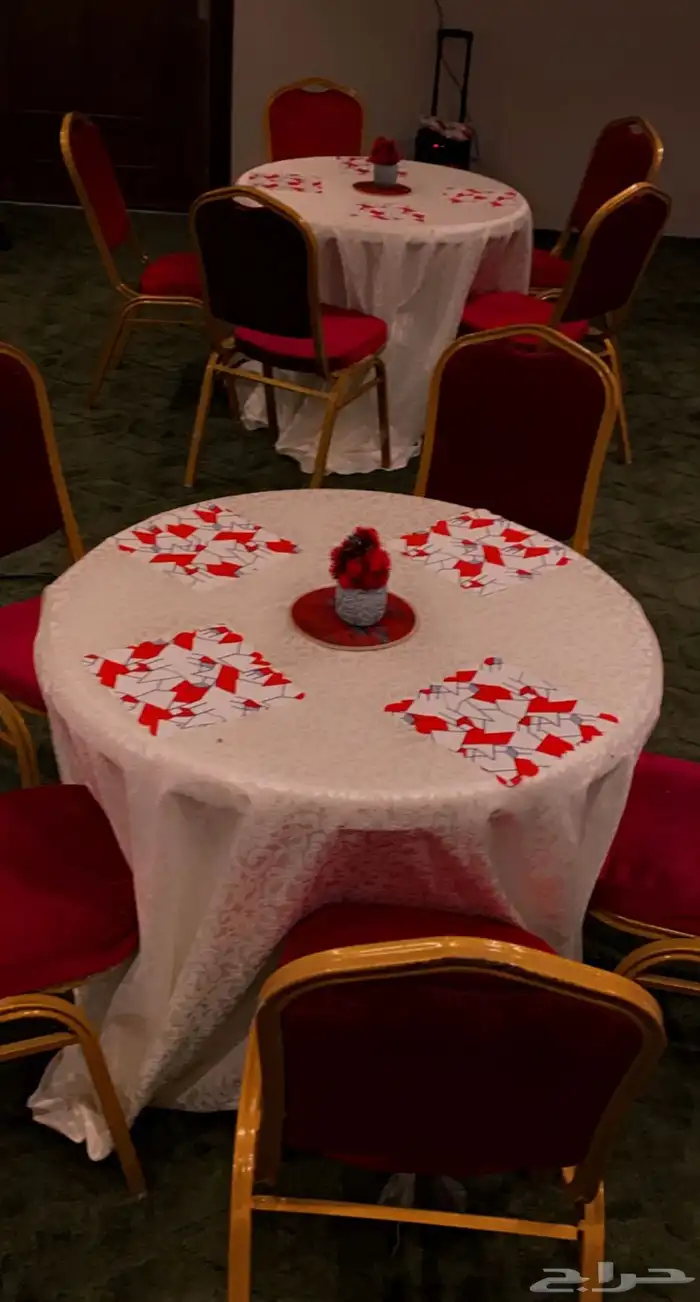 ثاني اكبر الشاليهات بالطايف 3