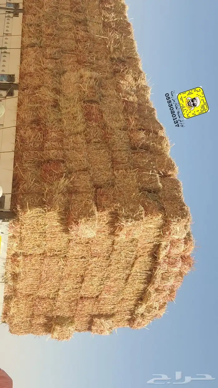 ذره قصب اعلاف برسيم جندير قلاس جميع انواع الاعلاف 6