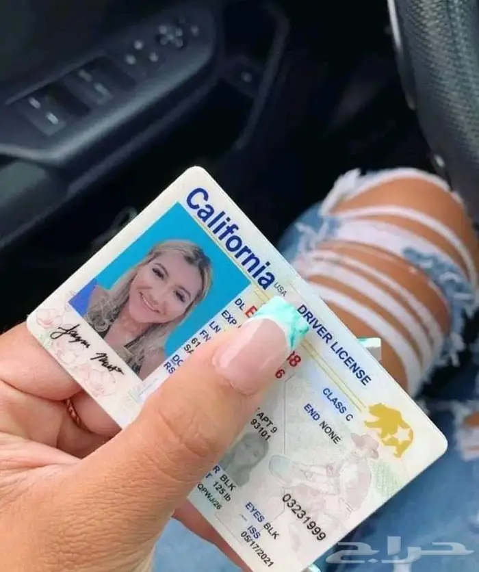 License Translation 2