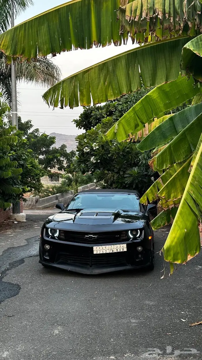 شيفرولية كمارو ZL1 2013 ( كشف )سوبر تشارج 1