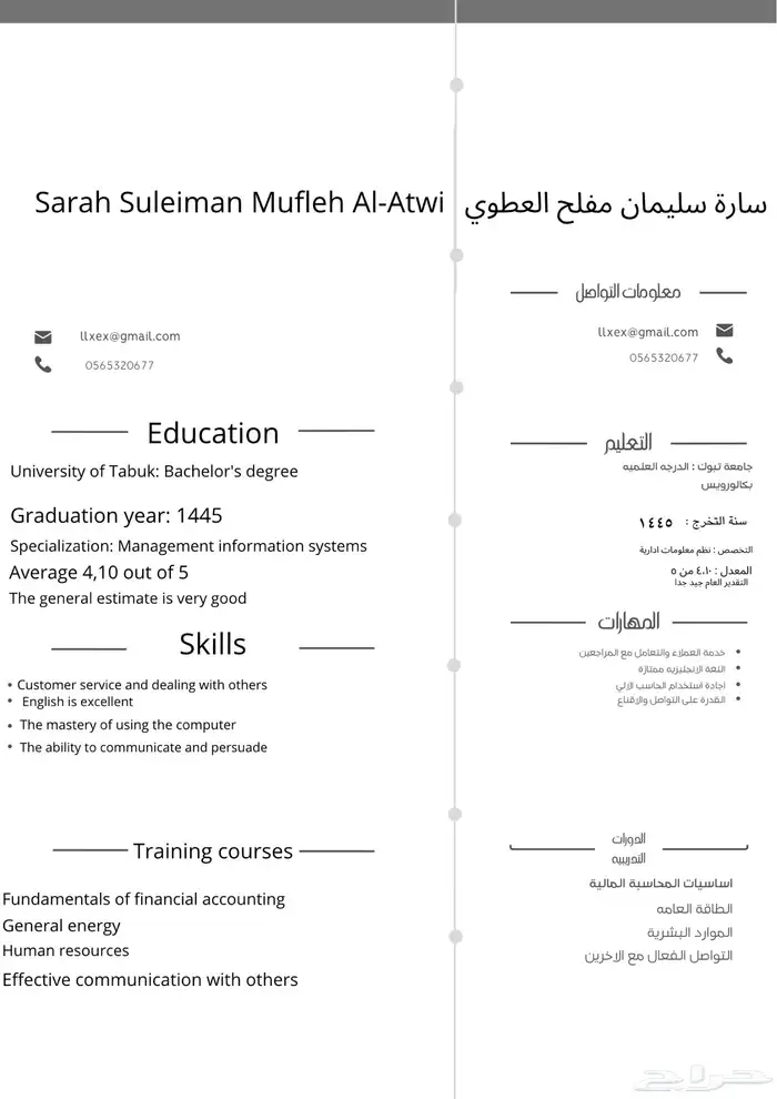 سيرة ذاتية احترافية 2