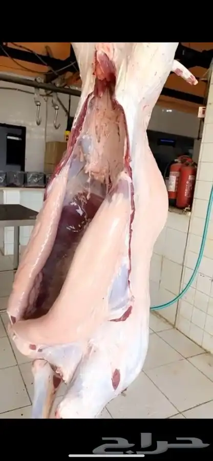 حاشي بالربع والثمن ياصلك لباب بيتك مغلف جاهز 3