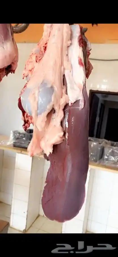 حاشي بالربع والثمن ياصلك لباب بيتك مغلف جاهز 0