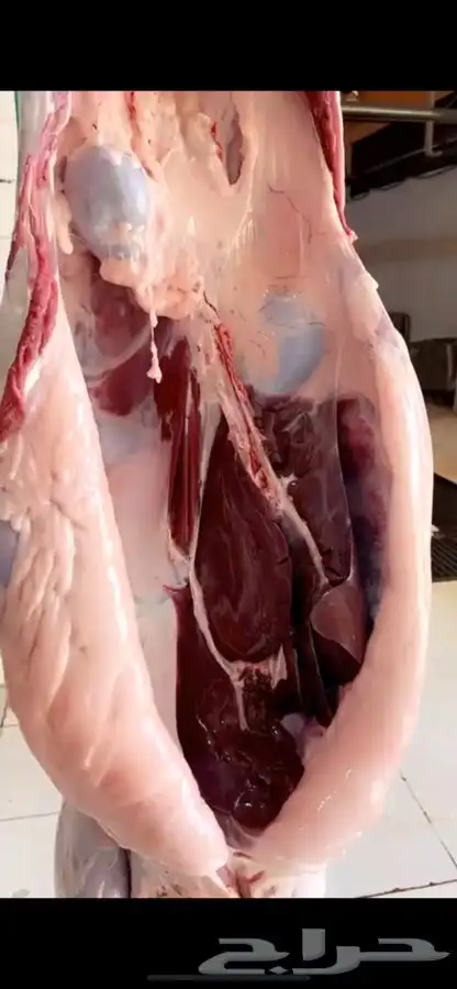 حاشي بالربع والثمن ياصلك لباب بيتك مغلف جاهز 2