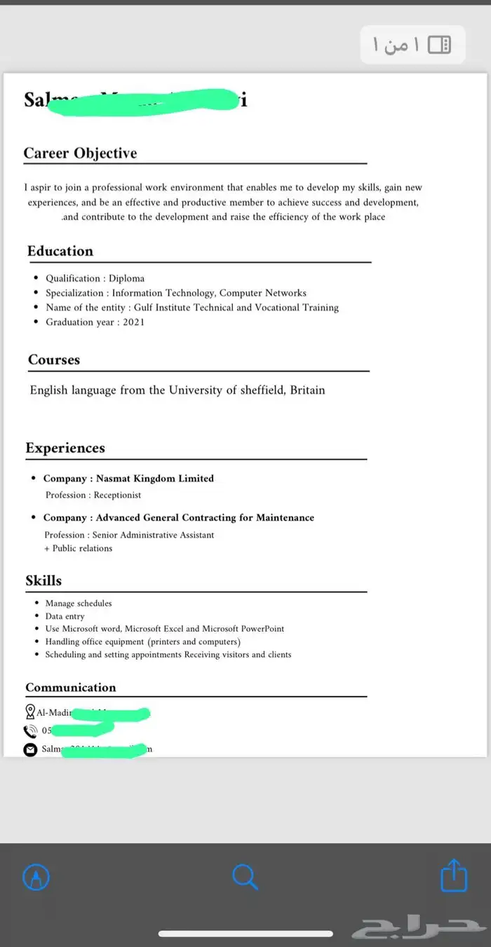 سيرة ذاتية احترافية 0