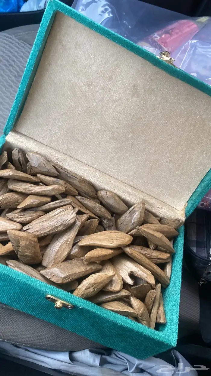 عود مروكي دبل سوبر 2