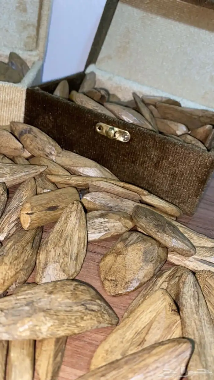 عود مروكي دبل سوبر 1