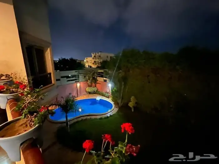 جميع الخدمات السياحة في مصر 18