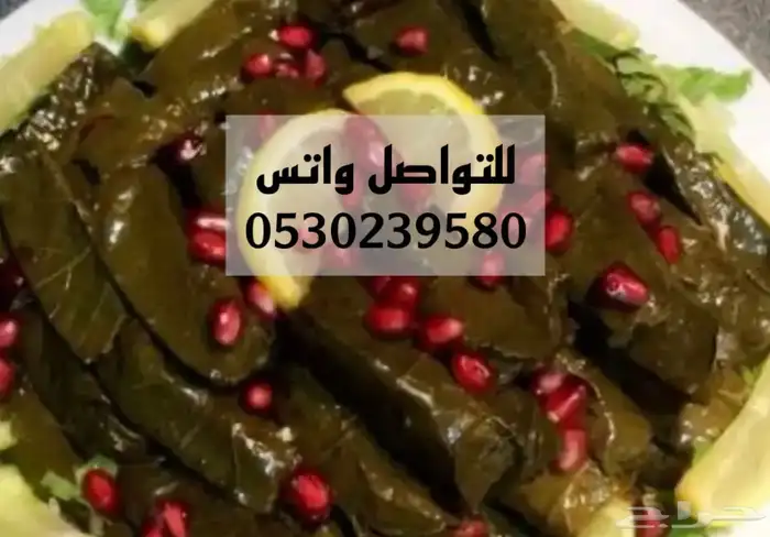 اسر منتجة باسعار مناسبة للجميع 15