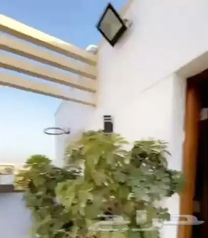 جميع الخدمات السياحة في مصر 63