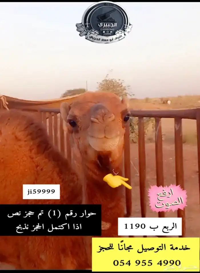 حوار حليب وحريات وسواكنيات 0