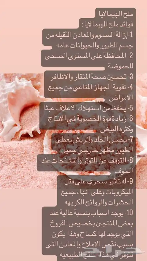 خلطة التحديق لزيادة أنتاج البيض 3