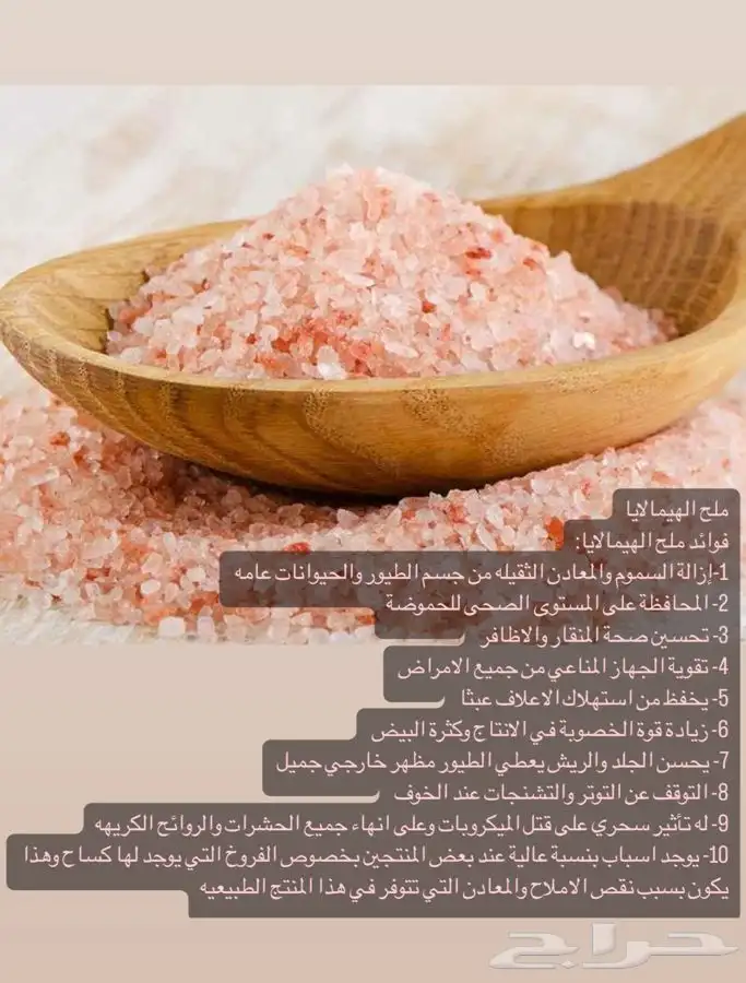 خلطة التحديق لزيادة أنتاج البيض 4