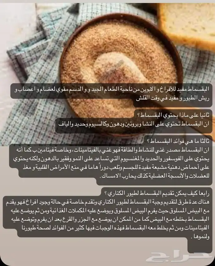 خلطة التحديق لزيادة أنتاج البيض 5