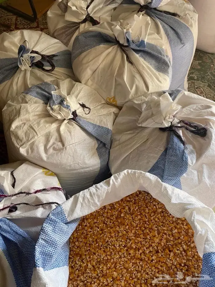 حبش طبيخ بلدي فاخر إنتاج السنة هذي 0