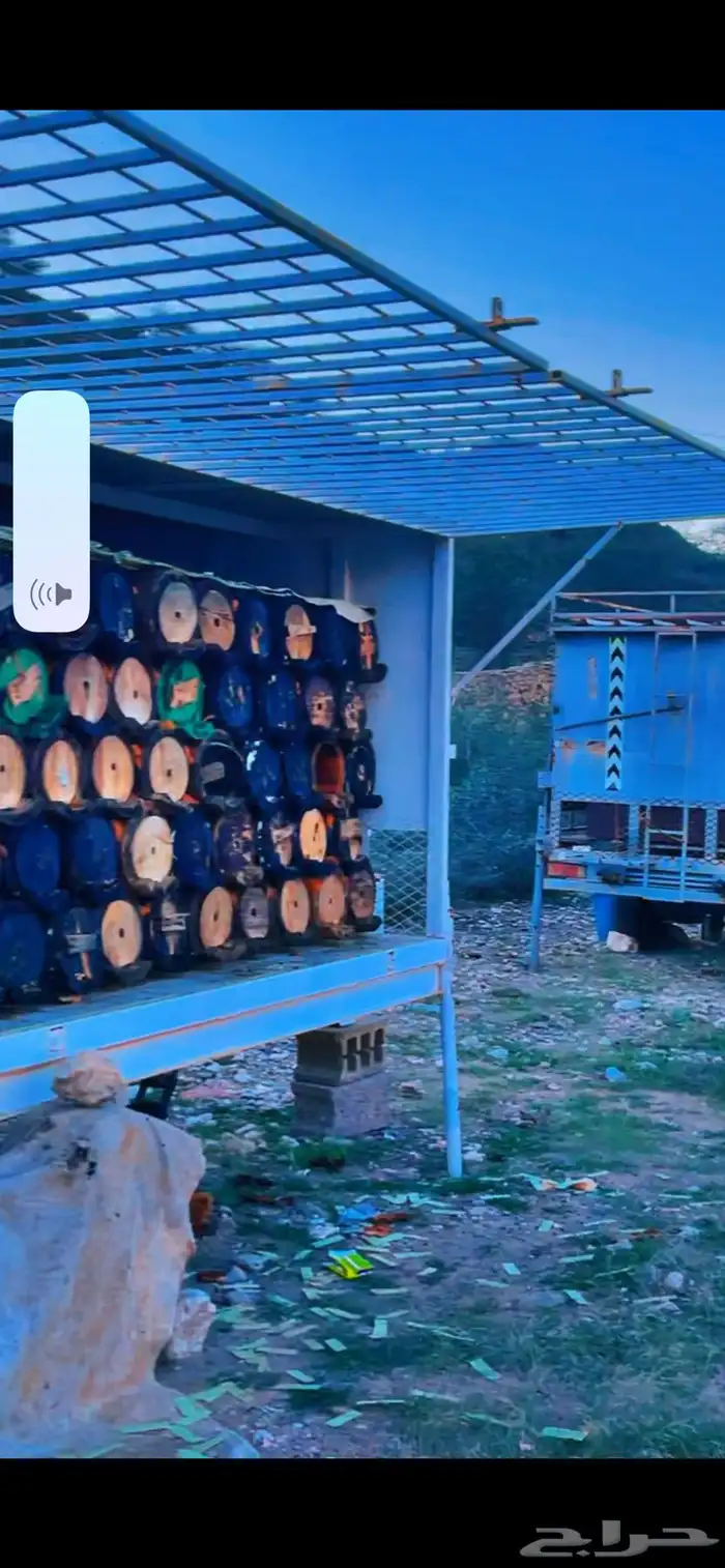 عسل جبلي صافي جديد مضمون من منحلي شخصي ا 5