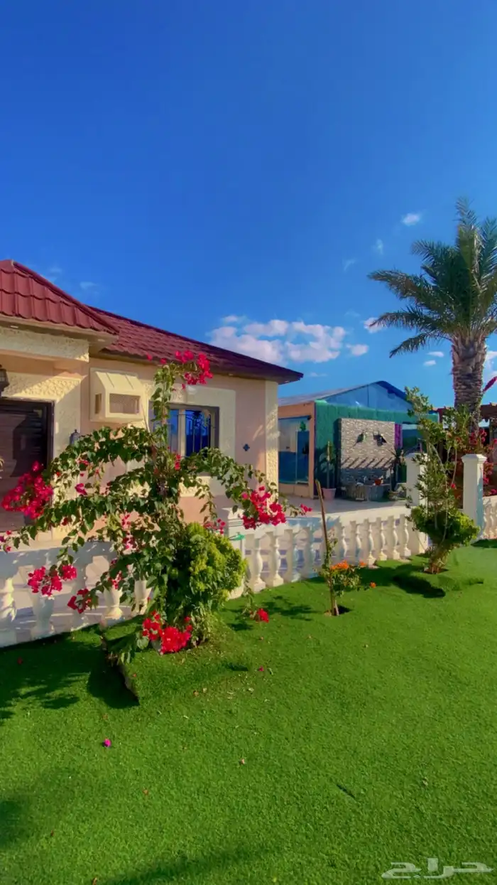 شالية فخم وكبير للاجار بالطايف - الواصلية 6