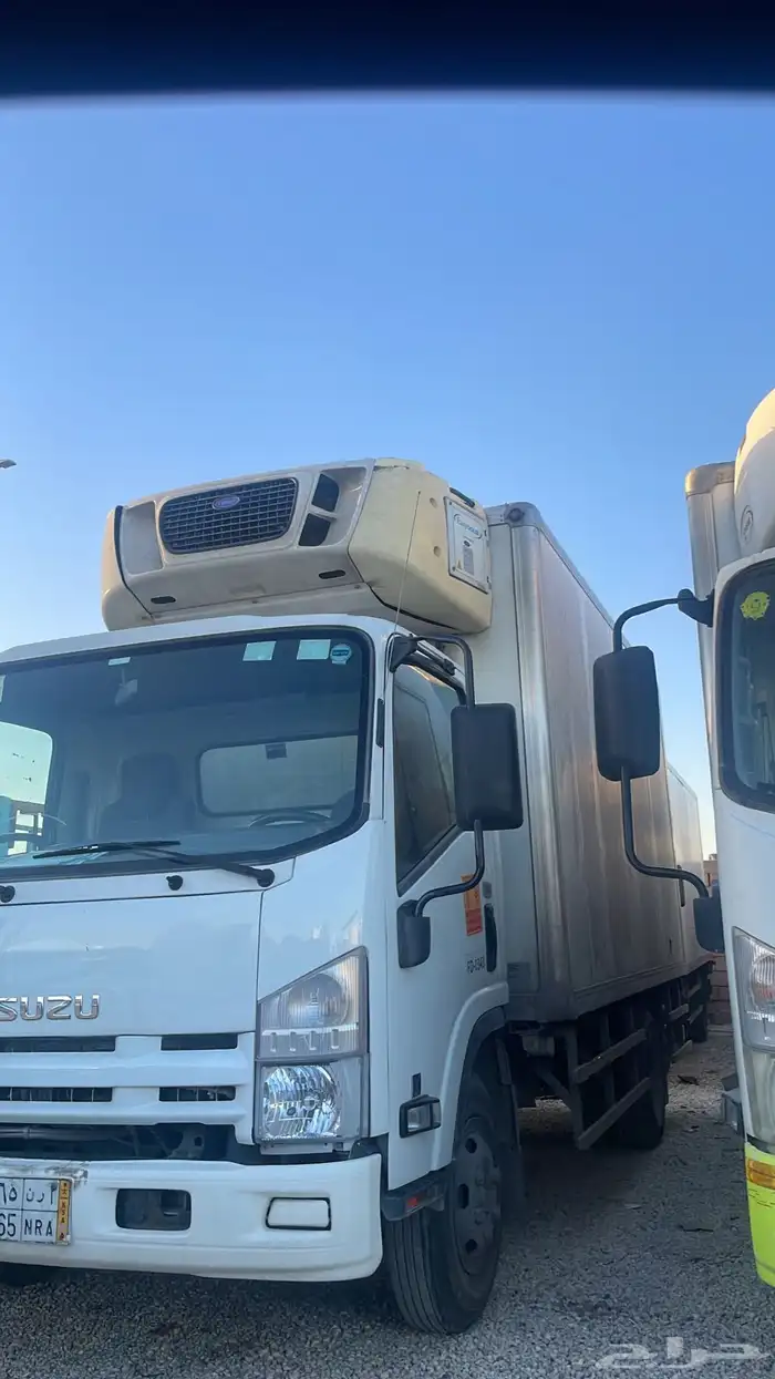 ايجار دينات 0