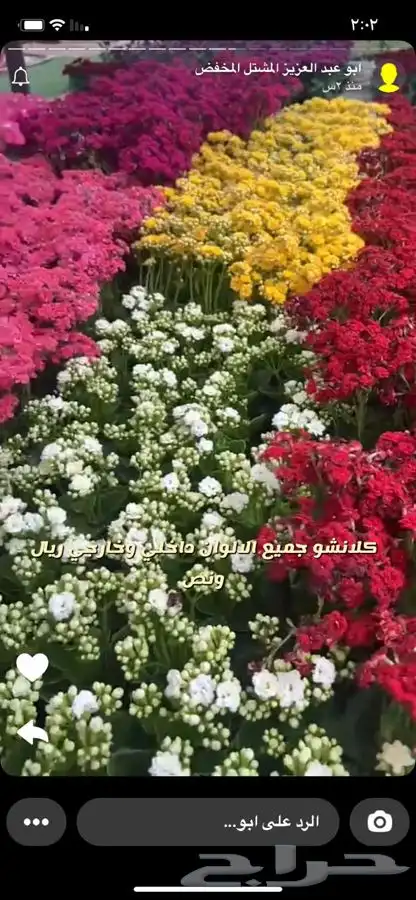 شتلات واشجار. باسعار مخفضه 9