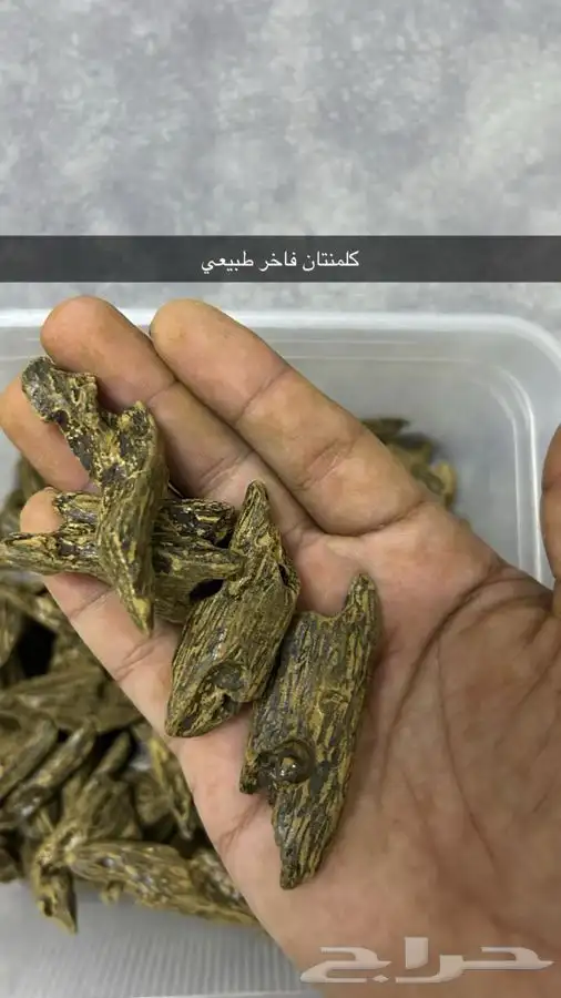 عود بخور 4