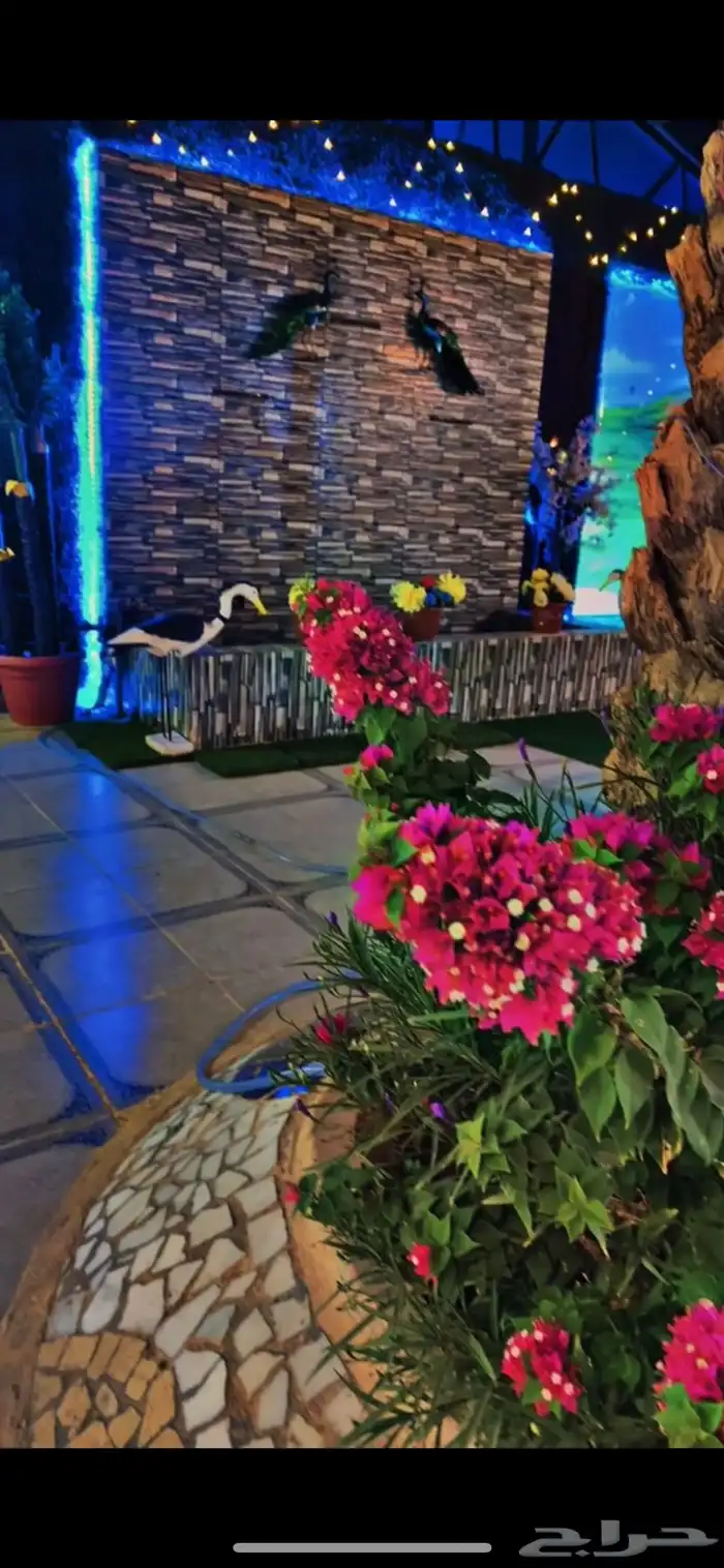 شالية فخم وكبير للاجار بالطايف - الواصلية 22