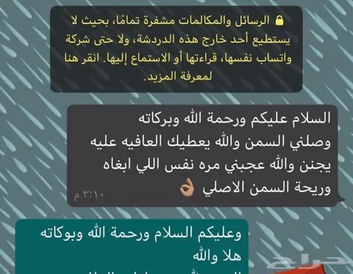 سمن غنم طبيعي بدون اضافات شغل نظيف بالطعم والجوده 7