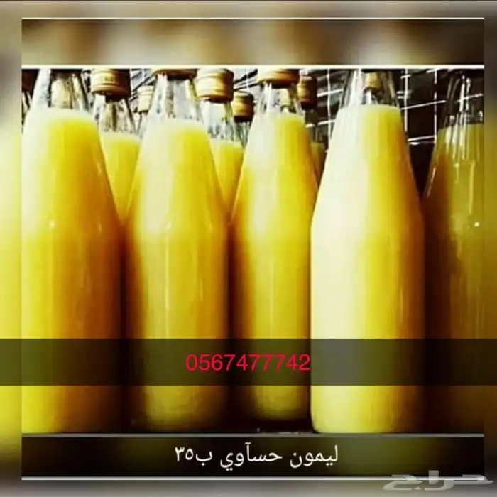 ليمون حساوي 3