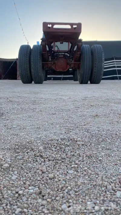 عايدي بوز للبيع 83 3