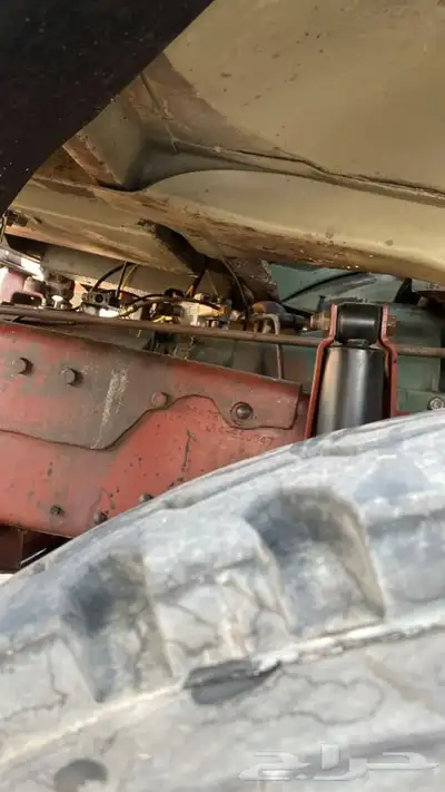 عايدي بوز للبيع 83 12