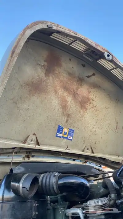 عايدي بوز للبيع 83 11