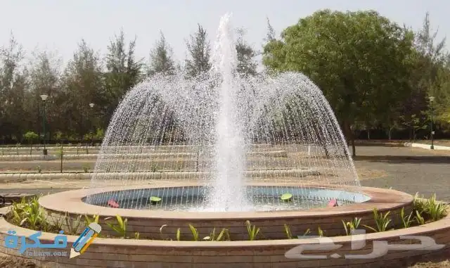 مصبات استيل صبابات شلال مصب انسيابي نافوره مصب مسبح 3