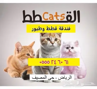 فندقة قطط وطيور - مخرج 5 - وقت إجازتكم 1