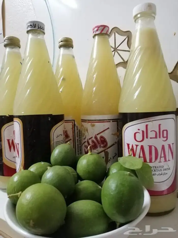 ليمون حساوي 4