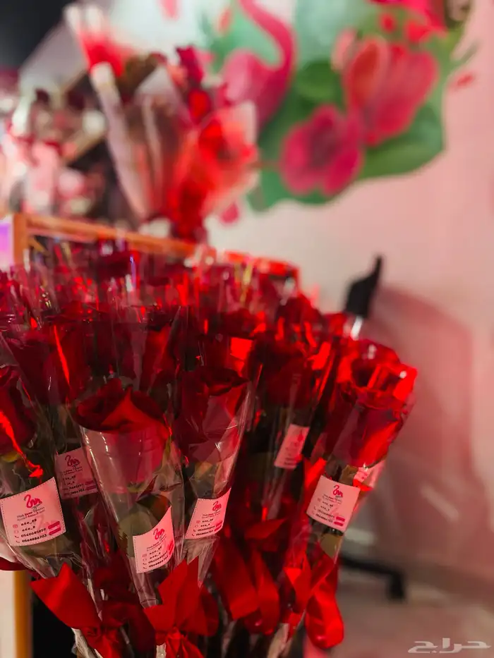 تنسيق حفلات   افتتاح   الخ 4