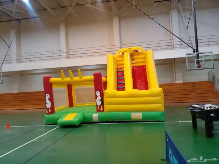 تأجير نطيطات وزحليقات لليوم 6