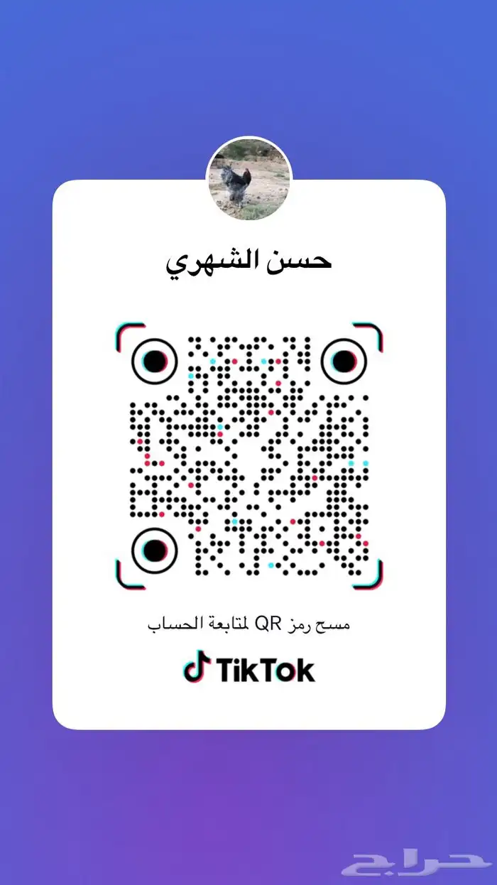 صوص صيصان فروخ بلدي عدد10الف الالوان فواتح 12