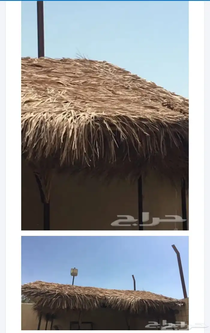 سعف نخل رولات للجلسات والتحواش 3