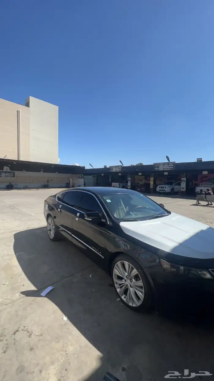 امبالا 2015 ممشى 228 8