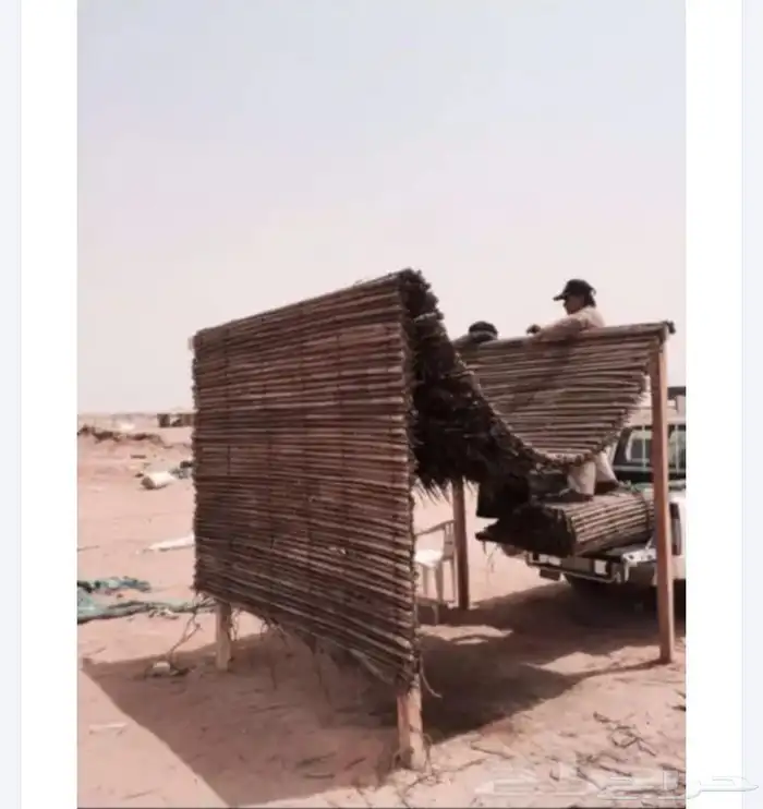 سعف نخل رولات للجلسات والتحواش 0