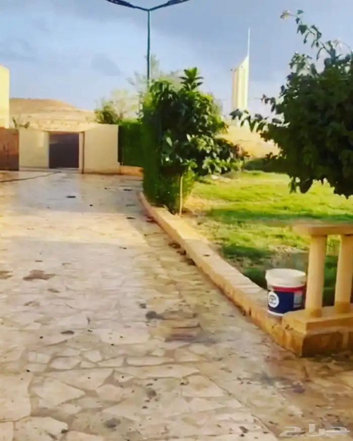 مزرعة و مبيت للايجار اليومي في سدير 6