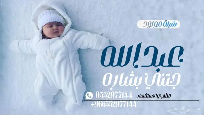 منشد شيلات تخرج زواج عريس ام العريس ام العروس 4