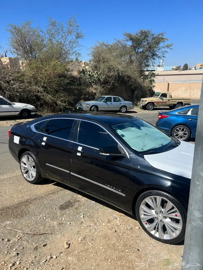 امبالا 2015 ممشى 228 1