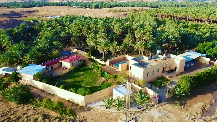 مزرعة و مبيت للايجار اليومي في سدير 5