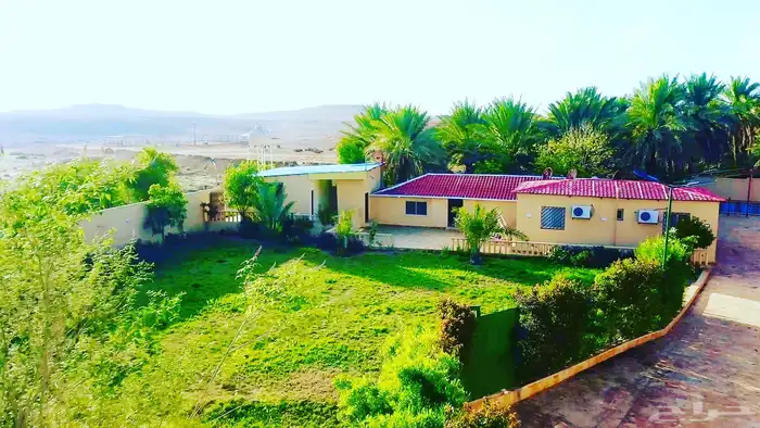 مزرعة و مبيت للايجار اليومي في سدير 4