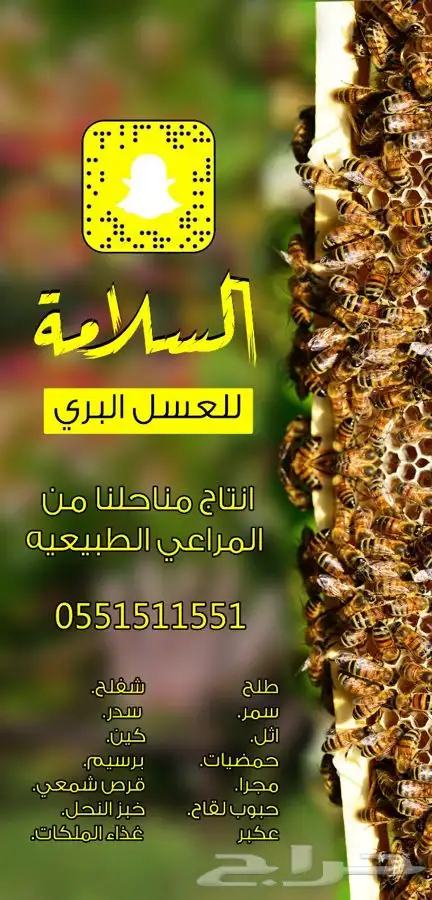 نحل و صناديق وبراويز للبيع 5