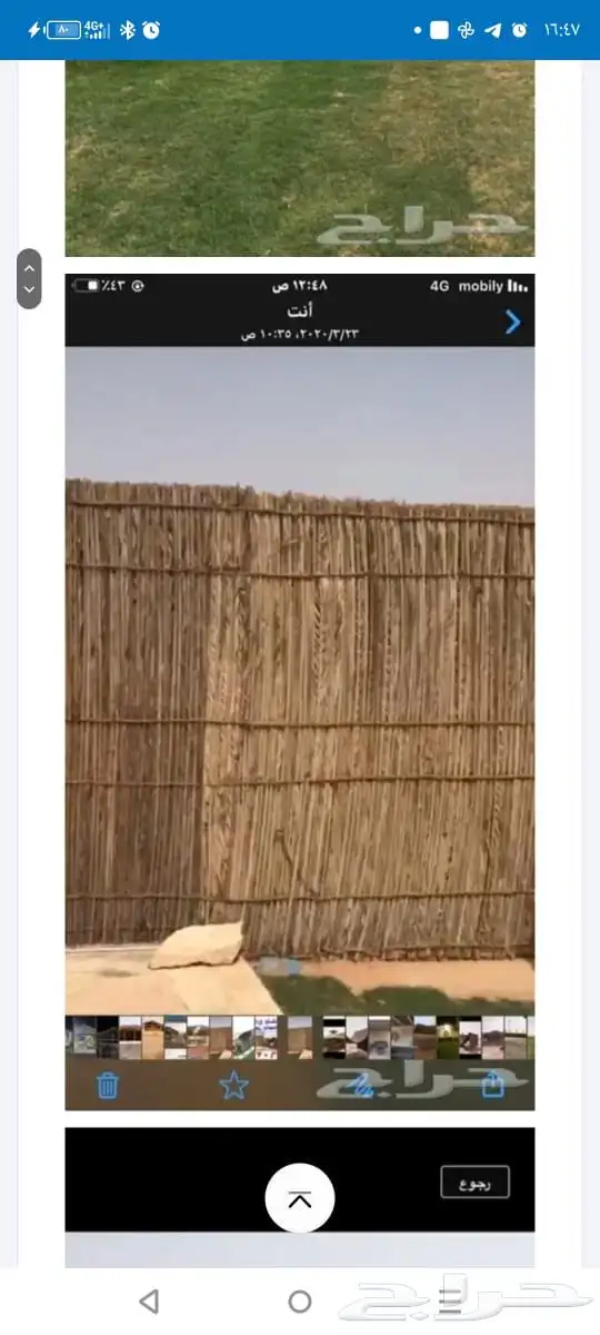 سعف نخل رولات للجلسات والتحواش 5