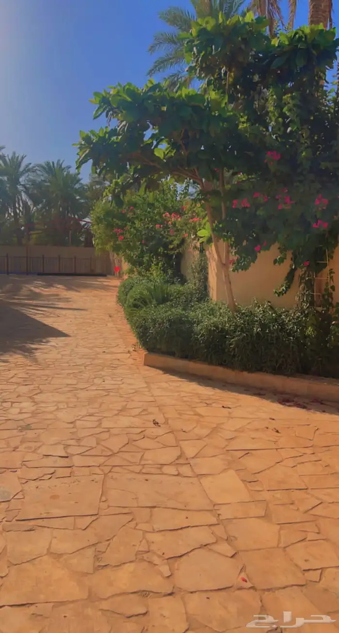 مزرعة و مبيت للايجار اليومي في سدير 1