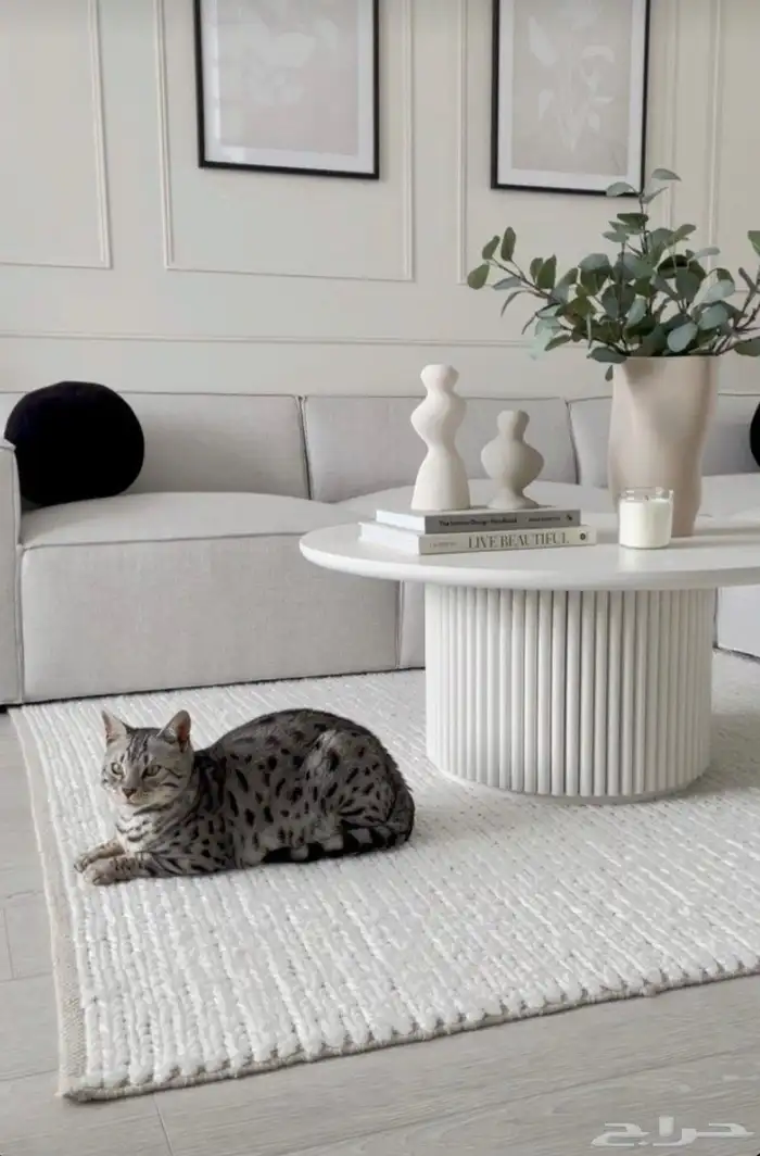 تفصيل طاولات بسعر المصنع خاص لعملاء حراج 5